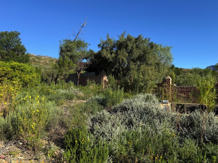 0 Bedroom Property for Sale in Barrydale Western Cape